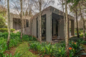 Houghton Luxury Villa